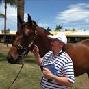 Mossman x Informant colt at Magic Millions